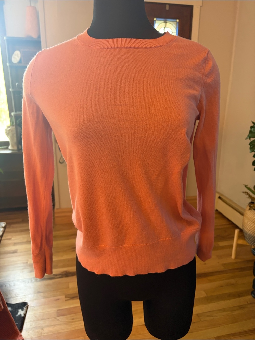 Banana Republic Women's Coral Crewneck Sweater